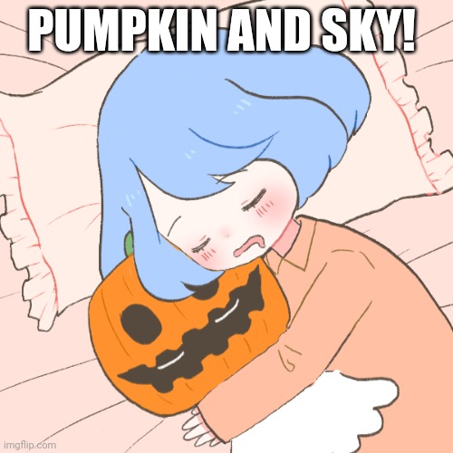 PUMPKIN AND SKY! | made w/ Imgflip meme maker