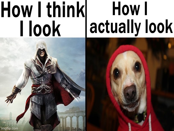 goofy dog | image tagged in hoodie,assassin's creed,goofy | made w/ Imgflip meme maker
