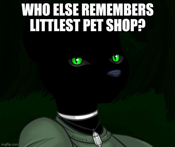 My new panther fursona | WHO ELSE REMEMBERS LITTLEST PET SHOP? | image tagged in my new panther fursona | made w/ Imgflip meme maker
