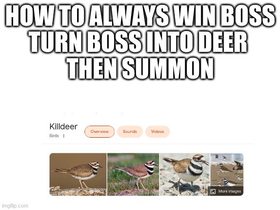 Blank White Template | HOW TO ALWAYS WIN BOSS
TURN BOSS INTO DEER 
THEN SUMMON | image tagged in blank white template | made w/ Imgflip meme maker