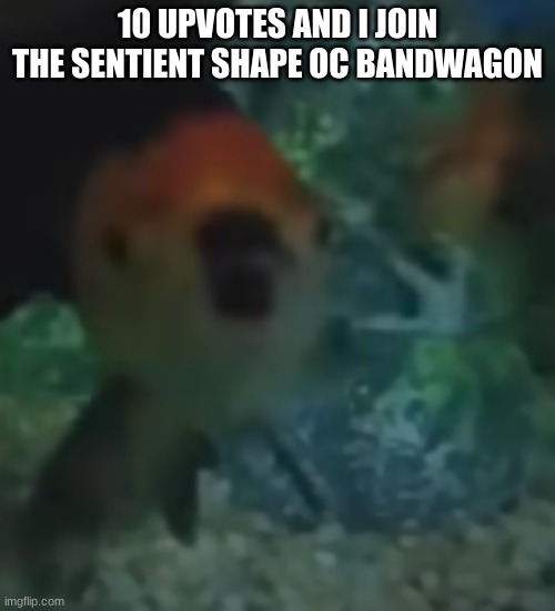 fishler | 10 UPVOTES AND I JOIN THE SENTIENT SHAPE OC BANDWAGON | image tagged in fishler | made w/ Imgflip meme maker