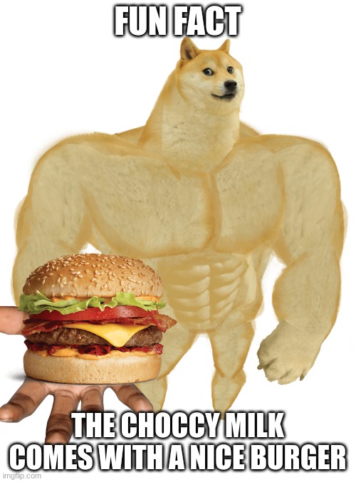 Swole Doge | FUN FACT THE CHOCCY MILK COMES WITH A NICE BURGER | image tagged in swole doge | made w/ Imgflip meme maker