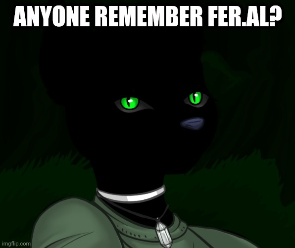 My new panther fursona | ANYONE REMEMBER FER.AL? | image tagged in my new panther fursona | made w/ Imgflip meme maker
