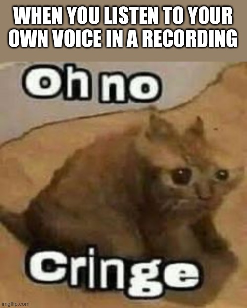 Most people’s reaction to hearing their voice on audio | WHEN YOU LISTEN TO YOUR OWN VOICE IN A RECORDING | image tagged in oh no cringe,voice,recording | made w/ Imgflip meme maker