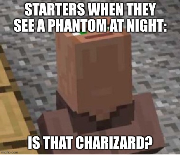 Minecraft Villager Looking Up | STARTERS WHEN THEY SEE A PHANTOM AT NIGHT:; IS THAT CHARIZARD? | image tagged in minecraft villager looking up | made w/ Imgflip meme maker