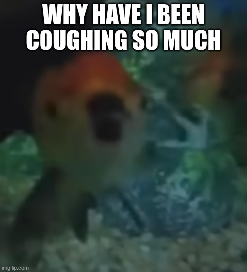 fishler | WHY HAVE I BEEN COUGHING SO MUCH | image tagged in fishler | made w/ Imgflip meme maker