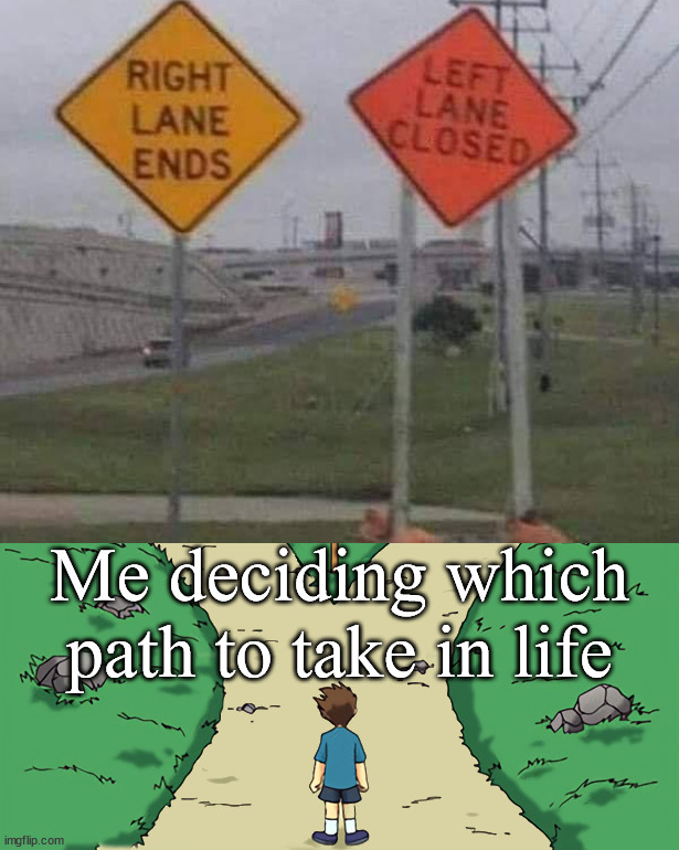 Choices are sometimes not choices | Me deciding which path to take in life | image tagged in two paths,choose wisely,funny signs | made w/ Imgflip meme maker