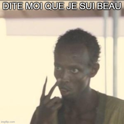la beaute | DITE MOI QUE JE SUI BEAU | image tagged in memes,look at me | made w/ Imgflip meme maker