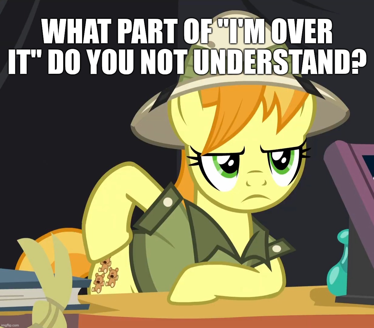 I'm Over It | WHAT PART OF "I'M OVER IT" DO YOU NOT UNDERSTAND? | image tagged in my little pony friendship is magic,background pony,memes | made w/ Imgflip meme maker