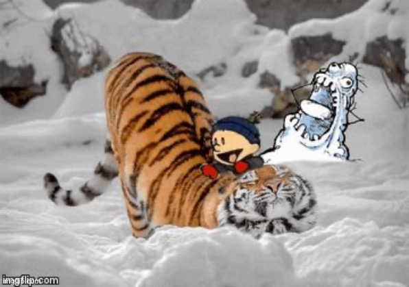 REAL | image tagged in the real calvin and hobbes | made w/ Imgflip meme maker