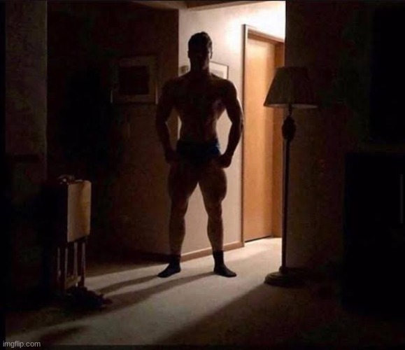 shadowy buff guy in a doorway | image tagged in shadowy buff guy in a doorway | made w/ Imgflip meme maker