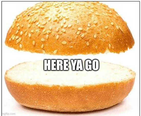 Nothing burger | HERE YA GO | image tagged in nothing burger | made w/ Imgflip meme maker