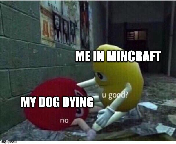 U Good No | ME IN MINCRAFT; MY DOG DYING | image tagged in u good no | made w/ Imgflip meme maker