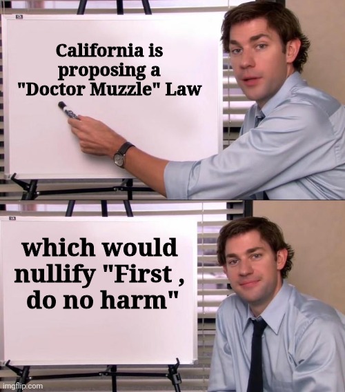 Jim Halpert Explains | California is proposing a "Doctor Muzzle" Law which would nullify "First ,
 do no harm" | image tagged in jim halpert explains | made w/ Imgflip meme maker