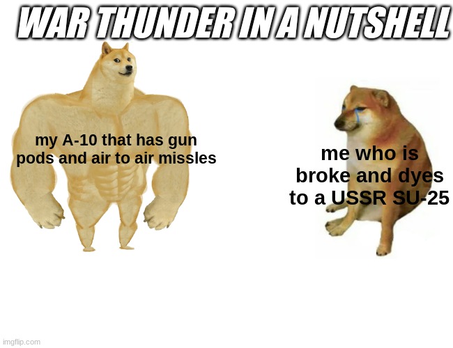 war thunder in a nutshell | WAR THUNDER IN A NUTSHELL; my A-10 that has gun pods and air to air missles; me who is broke and dyes to a USSR SU-25 | image tagged in memes,buff doge vs cheems | made w/ Imgflip meme maker