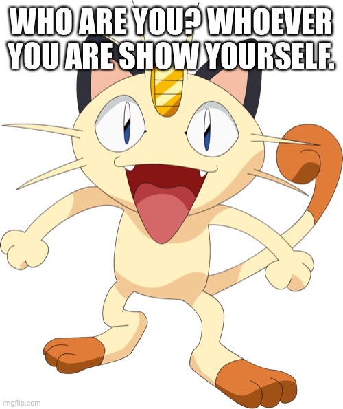team rocket meowth | WHO ARE YOU? WHOEVER YOU ARE SHOW YOURSELF. | image tagged in team rocket meowth | made w/ Imgflip meme maker