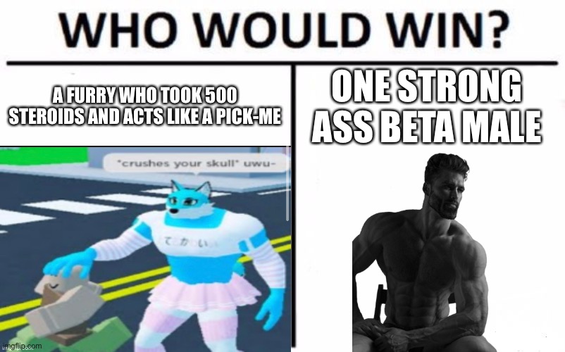 A FURRY WHO TOOK 500 STEROIDS AND ACTS LIKE A PICK-ME ONE STRONG ASS BETA MALE | made w/ Imgflip meme maker