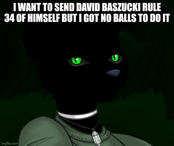 My new panther fursona | I WANT TO SEND DAVID BASZUCKI RULE 34 OF HIMSELF BUT I GOT NO BALLS TO DO IT | image tagged in my new panther fursona | made w/ Imgflip meme maker