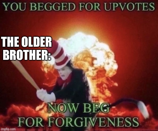 Beg for forgiveness | THE OLDER BROTHER: | image tagged in beg for forgiveness | made w/ Imgflip meme maker
