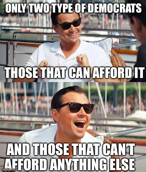 Dem’s da breaks | ONLY TWO TYPE OF DEMOCRATS; THOSE THAT CAN AFFORD IT; AND THOSE THAT CAN’T AFFORD ANYTHING ELSE | image tagged in memes,leonardo dicaprio wolf of wall street | made w/ Imgflip meme maker