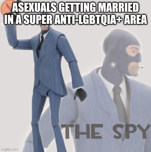 its true doe. | ASEXUALS GETTING MARRIED IN A SUPER ANTI-LGBTQIA+ AREA | image tagged in meet the spy | made w/ Imgflip meme maker
