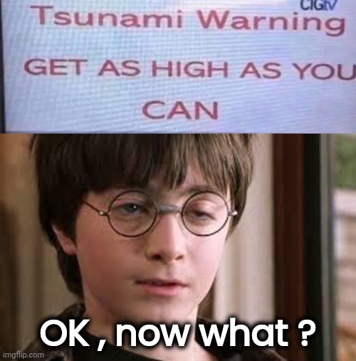Sorry, I don't speak Stoner | OK , now what ? | image tagged in harry potter stoned,flooding thumbs up,storm warning,first world stoner problems | made w/ Imgflip meme maker