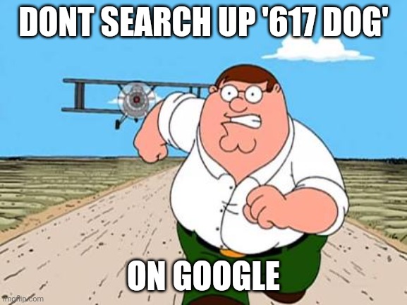 Dont | DONT SEARCH UP '617 DOG'; ON GOOGLE | image tagged in peter griffin running away for a plane | made w/ Imgflip meme maker