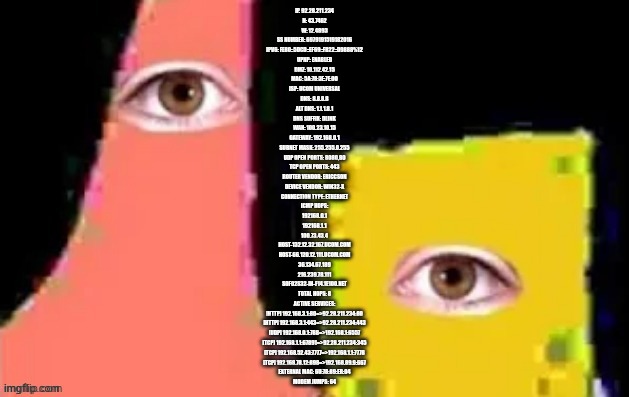 [undefined] | IP. 92.28.211.234
N: 43.7462
W: 12.4893
SS NUMBER: 6979191519182016
IPV6: FE80::5DCD::EF69::FB22::D9888%12
UPNP: ENABLED
DMZ: 10.112.42.15
M | image tagged in undefined | made w/ Imgflip meme maker