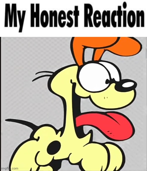 High Quality My Honest Reaction Odie Version Blank Meme Template