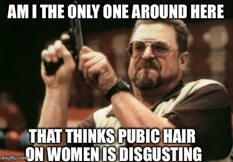 Am I The Only One Around Here Meme | AM I THE ONLY ONE AROUND HERE THAT THINKS PUBIC HAIR ON WOMEN IS DISGUSTING | image tagged in memes,am i the only one around here,AdviceAnimals | made w/ Imgflip meme maker