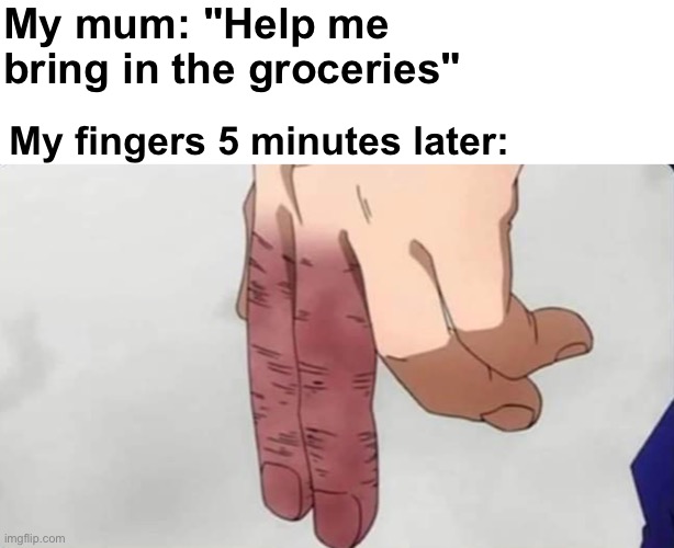 I have felt pain and suffering | My mum: "Help me bring in the groceries"; My fingers 5 minutes later: | image tagged in memes,unfunny | made w/ Imgflip meme maker