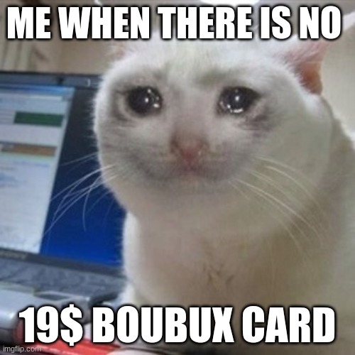 No 19$ boubux card | ME WHEN THERE IS NO; 19$ BOUBUX CARD | image tagged in crying cat | made w/ Imgflip meme maker