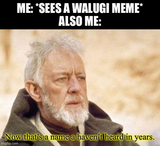 Poor son of a gun | ME: *SEES A WALUGI MEME*
ALSO ME:; Now that’s a name a haven’t heard in years. | image tagged in now that's a name i haven't heard since,waluigi,memes,star wars,mario | made w/ Imgflip meme maker