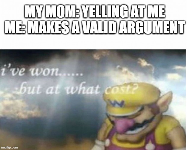 Parents, Am I right? | MY MOM: YELLING AT ME
ME: MAKES A VALID ARGUMENT | image tagged in i won but at what cost | made w/ Imgflip meme maker