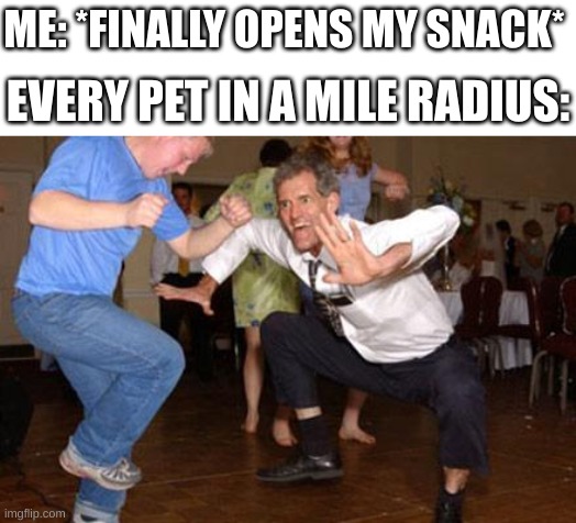 Funny dancing | ME: *FINALLY OPENS MY SNACK*; EVERY PET IN A MILE RADIUS: | image tagged in funny dancing | made w/ Imgflip meme maker