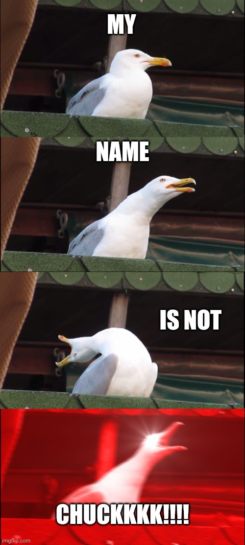 SIUUUUUUUU- | MY; NAME; IS NOT; CHUCKKKK!!!! | image tagged in memes,inhaling seagull,cars | made w/ Imgflip meme maker