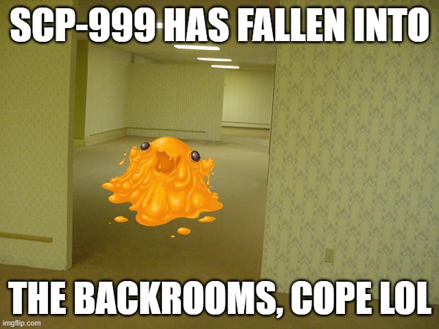 L Bozo | SCP-999 HAS FALLEN INTO; THE BACKROOMS, COPE LOL | image tagged in the backrooms,backrooms,scp-999 | made w/ Imgflip meme maker