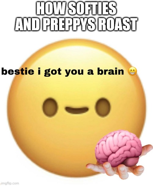 How softies and preppys roast | HOW SOFTIES AND PREPPYS ROAST | image tagged in bestie i got you a brain | made w/ Imgflip meme maker