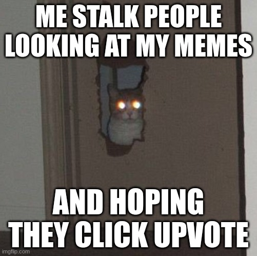 Cat staring through the door | ME STALK PEOPLE LOOKING AT MY MEMES; AND HOPING THEY CLICK UPVOTE | image tagged in cat staring through the door | made w/ Imgflip meme maker