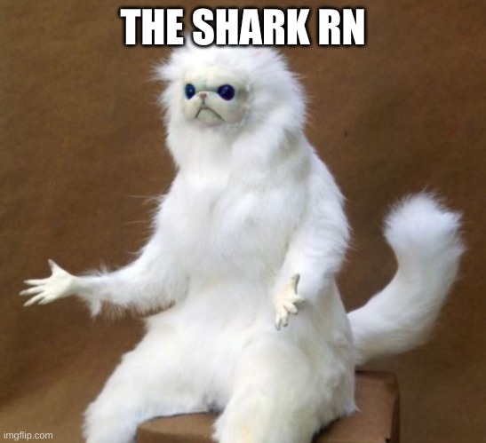 oof | THE SHARK RN | image tagged in oof | made w/ Imgflip meme maker