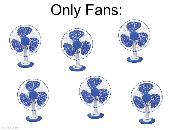 Blank White Template | Only Fans: | image tagged in blank white template | made w/ Imgflip meme maker