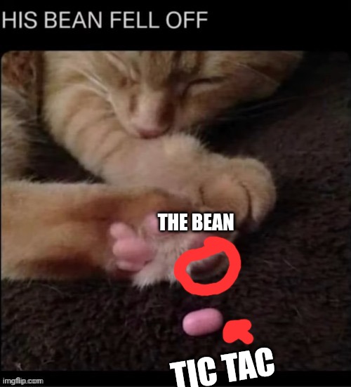 Lance's post exposed | THE BEAN; TIC TAC | made w/ Imgflip meme maker
