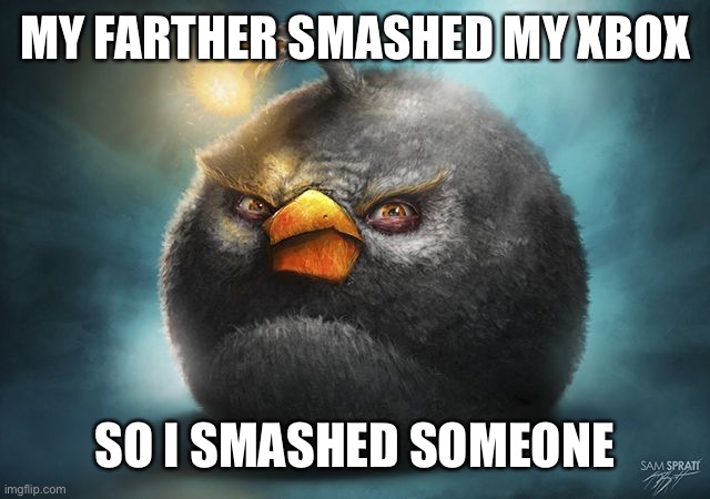 angry birds bomb | MY FARTHER SMASHED MY XBOX SO I SMASHED SOMEONE | image tagged in angry birds bomb | made w/ Imgflip meme maker