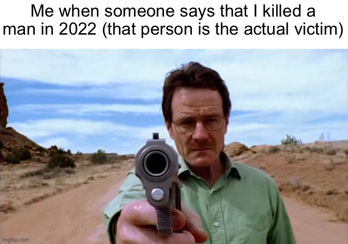 Walter White gun | Me when someone says that I killed a man in 2022 (that person is the actual victim) | image tagged in walter white gun | made w/ Imgflip meme maker