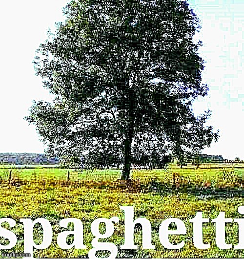 spaghetti | image tagged in spaghetti | made w/ Imgflip meme maker