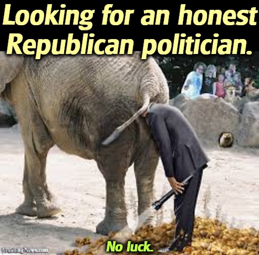 Getting an echo in there? | Looking for an honest Republican politician. No luck. | image tagged in republican,politician,elephant,honest,bankruptcy | made w/ Imgflip meme maker