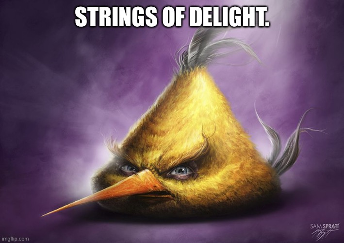 Hyperrealistic Chuck | STRINGS OF DELIGHT. | image tagged in hyperrealistic chuck | made w/ Imgflip meme maker