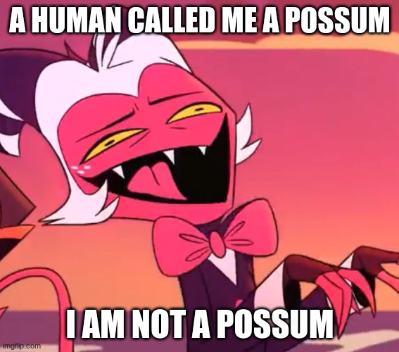 moxxie the possum boi | A HUMAN CALLED ME A POSSUM; I AM NOT A POSSUM | image tagged in helluva boss,hazbin hotel | made w/ Imgflip meme maker
