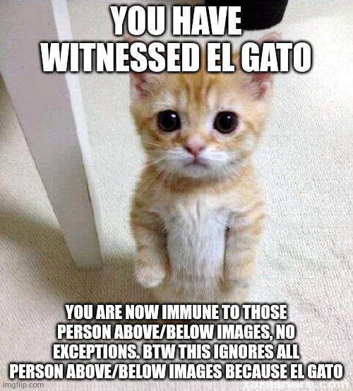 el gato | YOU HAVE WITNESSED EL GATO; YOU ARE NOW IMMUNE TO THOSE PERSON ABOVE/BELOW IMAGES, NO EXCEPTIONS. BTW THIS IGNORES ALL PERSON ABOVE/BELOW IMAGES BECAUSE EL GATO | made w/ Imgflip meme maker