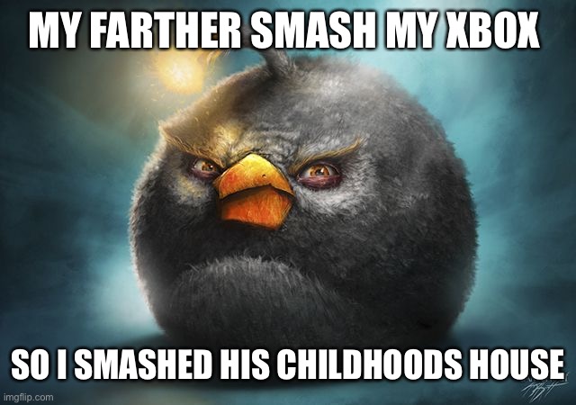 angry birds bomb | MY FARTHER SMASH MY XBOX SO I SMASHED HIS CHILDHOODS HOUSE | image tagged in angry birds bomb | made w/ Imgflip meme maker